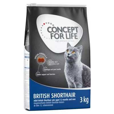 concept for life british shorthair