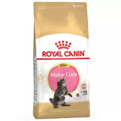 Royal Canin Maine Coon Kitten