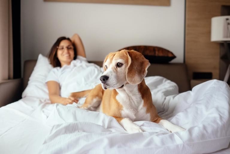 Sharing bed with dog Sharing bed with dog