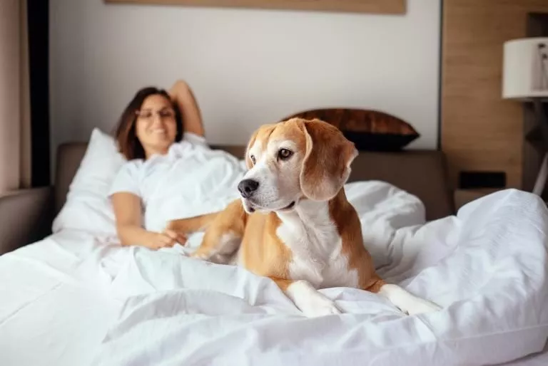 Sharing bed with dog