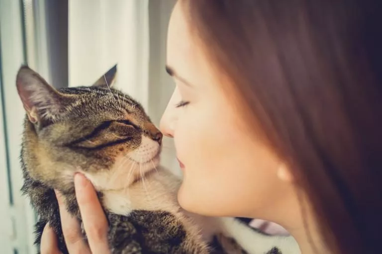 Mačka s vlasnicom; Zašto su mačke dobre za naše zdravlje