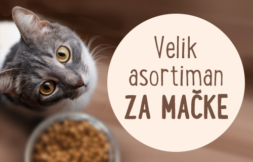 Hrana i oprema za mačke – potražite poznate marke po odličnim cijenama na zooplus.hr i uštedite.