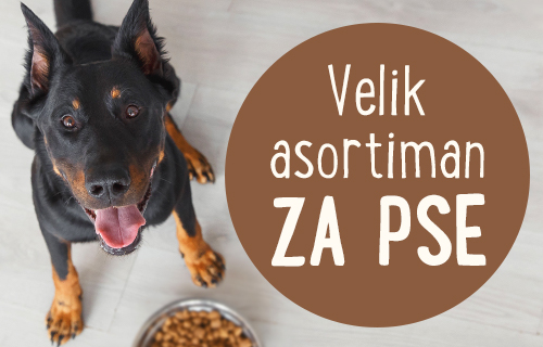 Hrana i oprema za pse – potražite poznate marke po odličnim cijenama na zooplus.hr i uštedite.