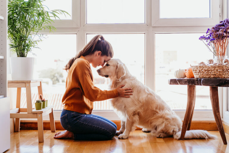 beautiful woman hugging her adorable golden retriever dog at home. love for animals concept. lifestyle indoors Mit dem Hund in der Quarantäne Gassi gehen