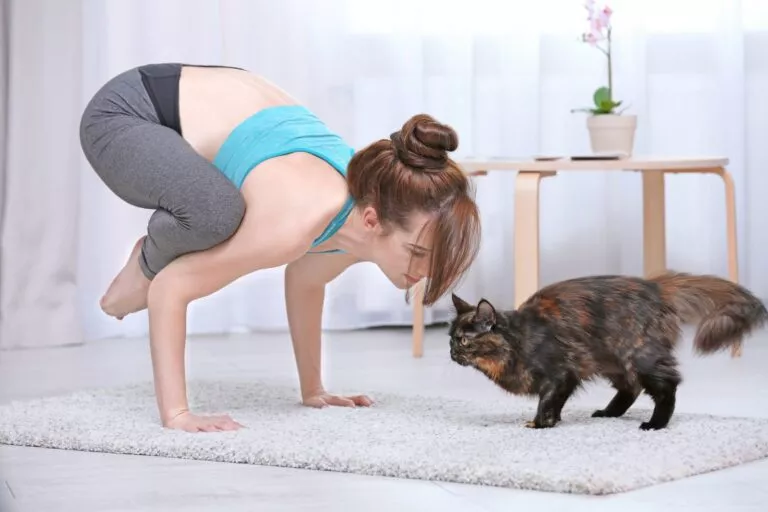 Frau macht Yoga mit Katze
