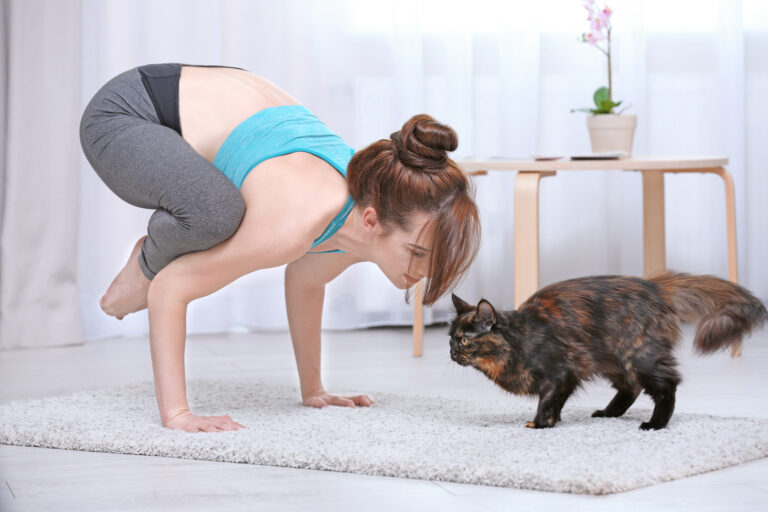 Young beautiful woman with cat practicing yoga pose at home frau macht cat yoga mit katze