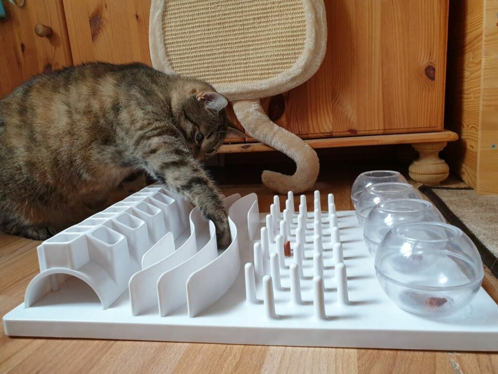 Mačka u igri s inteligentnom igračkom