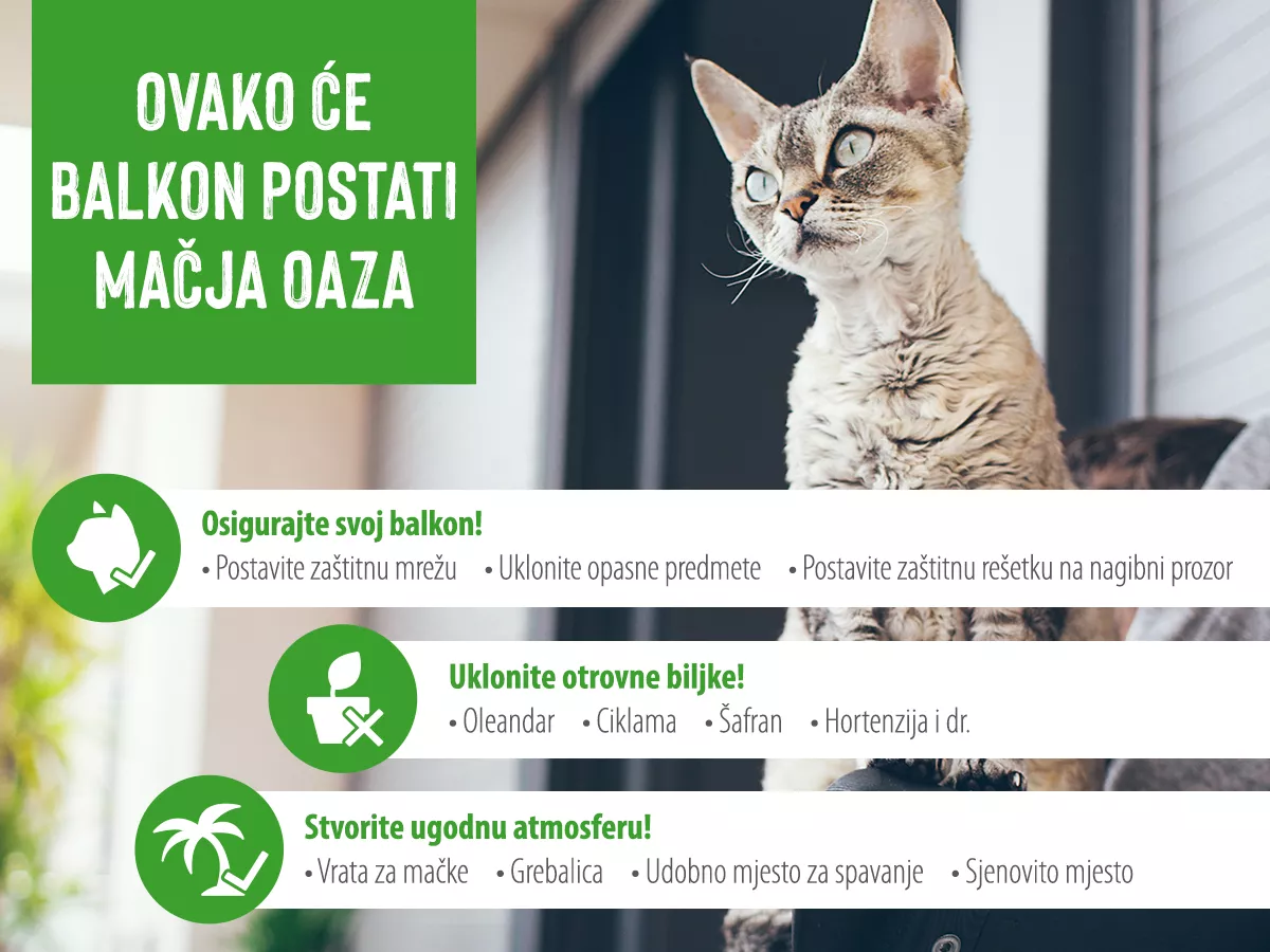 Siguran balkon za mačke - savjeti