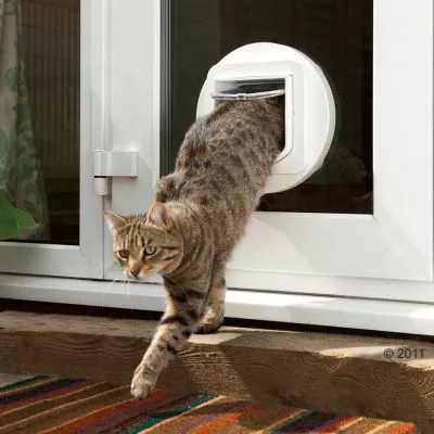 Mikročip vrata za mačke