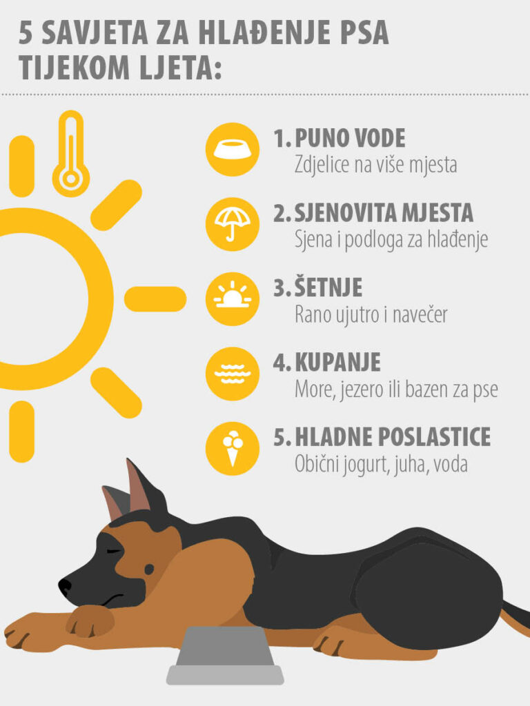 2021_06_Cooling_infographic_D_900X1200_HR (1) Rashlađivanje psa tijekom ljeta