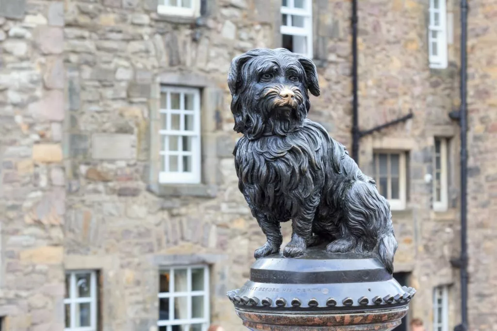 Skye terijer: Greyfriars Bobby.