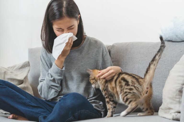 Alergija na mačke; žena kiše