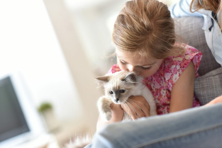 Socijalizacija mačke, mačka i djevojčica na kauču