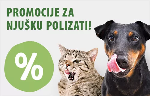 Promotivne ponude