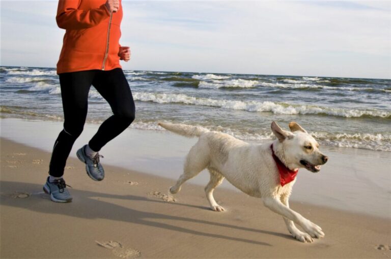 Vlasnica i pas trče zajedno na plaži