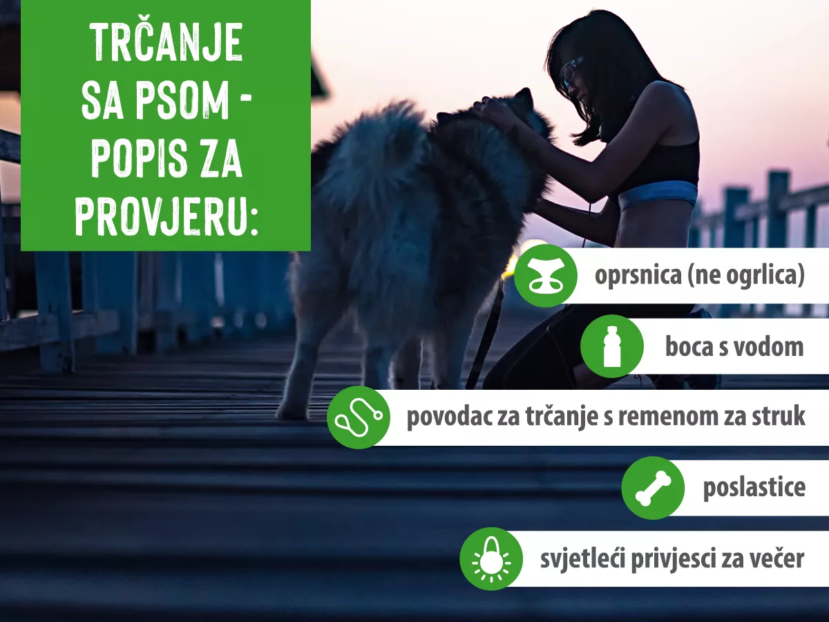 Popis opreme za tračanje sa psom