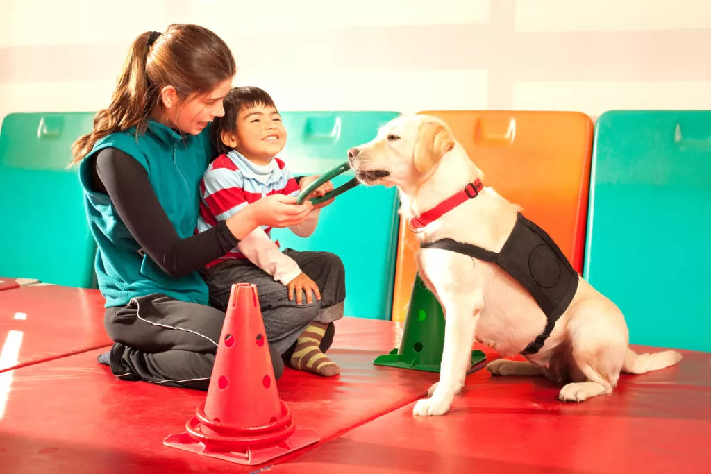 terapijski pas pasmine labrador u igri s djetetom