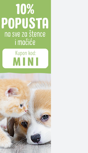 10puppykitten_032023_BG_right