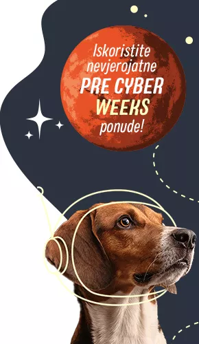 Cyber ponude