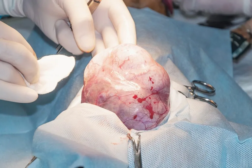 Veterinarska operacija uklanjanja tumora